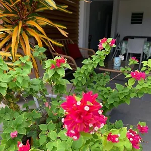 Appartement Le Tropical 1 Ou 2